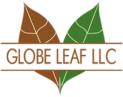 Globe Leaf  Logo